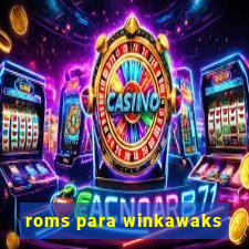 roms para winkawaks